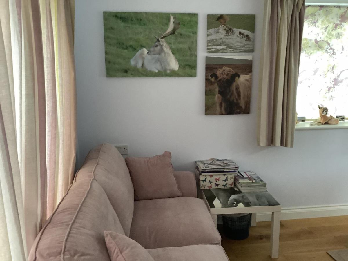 Exmoor Retreat On Two Moors Way Withypool Exterior photo